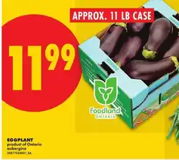 No Frills EGGPLANT, APPROX. 11 LB CASE offer