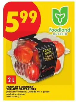 No Frills FARMER'S MARKET YELLOW NECTARINES offer