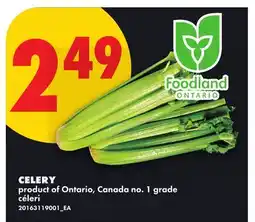 No Frills CELERY offer