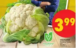 No Frills CAULIFLOWER offer