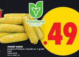 No Frills SWEET CORN offer