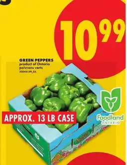 No Frills GREEN PEPPERS, APPROX. 13 LB CASE offer