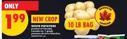 No Frills WHITE POTATOES, 10 LB BAG offer