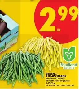 No Frills GREEN or YELLOW BEANS offer