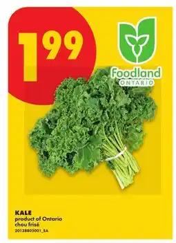 No Frills KALE offer