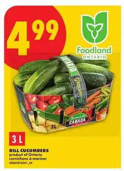 No Frills DILL CUCUMBERS offer