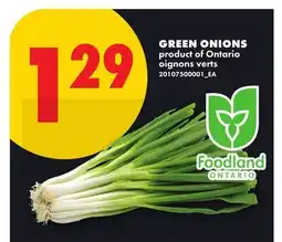 No Frills GREEN ONIONS offer