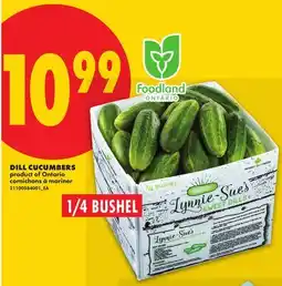 No Frills DILL CUCUMBERS, 1/4 BUSHEL offer