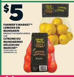 Valu-mart CITRONS OU MANDARINES DÉLICES DU MARCHÉ, 2 LB offer