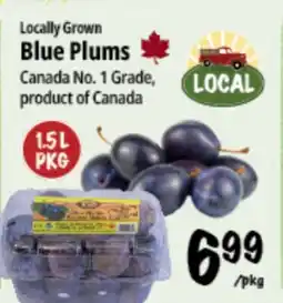 Farm Boy Locally Grown Blue Plums offer