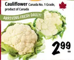 Farm Boy Cauliflower offer