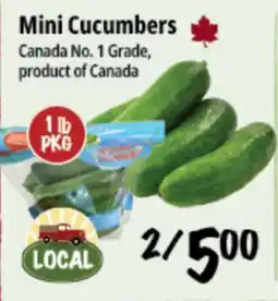 Farm Boy Mini Cucumbers offer