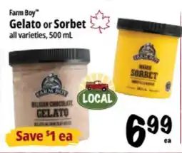 Farm Boy Farm Boy Gelato or Sorbet offer