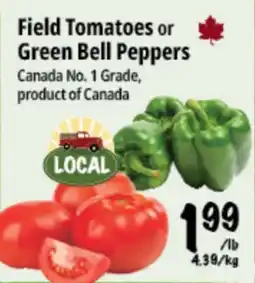 Farm Boy Field Tomatoes or Green Bell Peppers offer