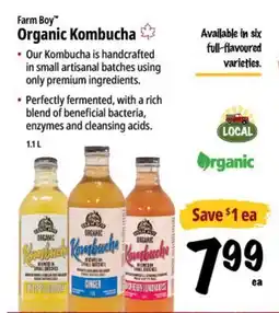 Farm Boy Farm Boy Organic Kombucha offer