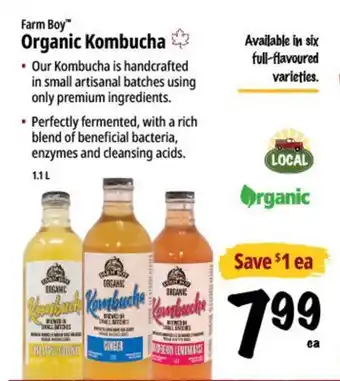 Farm Boy Farm Boy Organic Kombucha offer