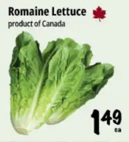 Farm Boy Romaine Lettuce offer