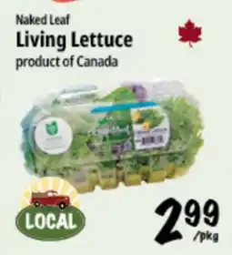 Farm Boy Naked Leaf Living Lettuce offer