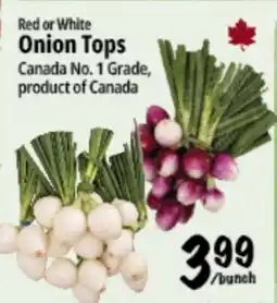 Farm Boy Red or White Onion Tops offer