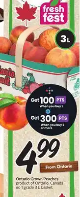 Sobeys Ontario Grown Peaches offer