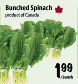 Farm Boy Bunched Spinach offer