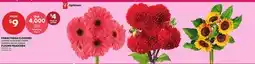 Independent Grocer FARM FRESH FLOWERS offer