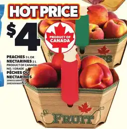 Independent Grocer PEACHES, 3 L OR NECTARINES, 2 L offer