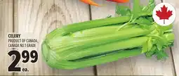 Metro CELERY offer