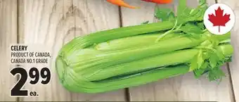 Metro CELERY offer