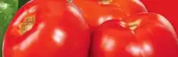 Metro JUMBO SWEET GREEN PEPPERS OR LOCAL FIELD TOMATOES offer