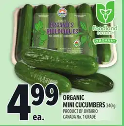 Metro ORGANIC MINI CUCUMBERS offer
