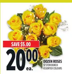 Metro DOZEN ROSES offer