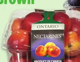 Metro LOCAL BASKETS PEACHES OR | BLUE OR RED PLUMS | NECTARINES offer