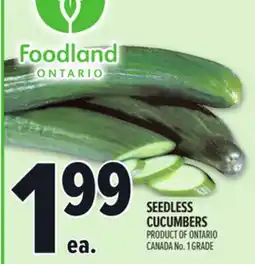 Metro SEEDLESS CUCUMBERS offer