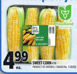 Metro SWEET CORN offer