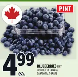 Metro BLUEBERRIES offer
