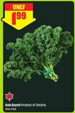FreshCo Kale Bunch Product of Ontario offer