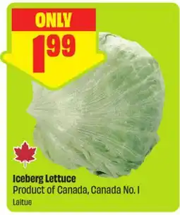 FreshCo Iceberg Lettuce Product of Canada, Canada No. 1 offer