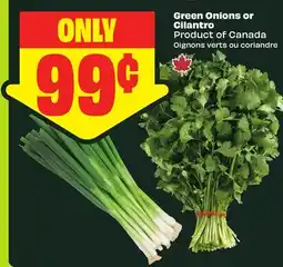 FreshCo Green Onions or Cilantro Product of Canada offer