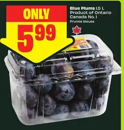 FreshCo Blue Plums 1.5 L Product of Ontario Canada No. 1 offer