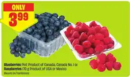 FreshCo Blueberries Pint Product of Canada, Canada No. 1 or Raspberries 170 g Product of USA or Mexico offer