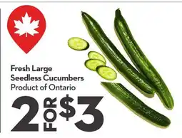 Longo's Fresh Large Seedless Cucumbers offer