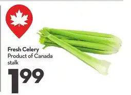 Longo's Fresh Celery offer