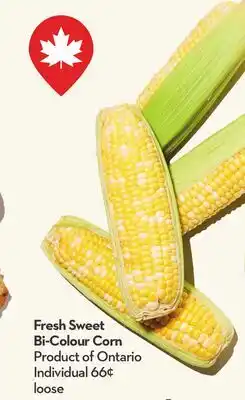Longo's Fresh Sweet Bi-Colour Corn offer