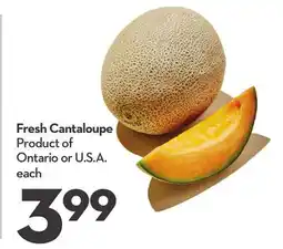Longo's Fresh Cantaloupe offer