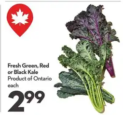 Longo's Fresh Green, Red or Black Kale offer