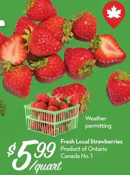 Longo's Fresh Local Strawberries offer