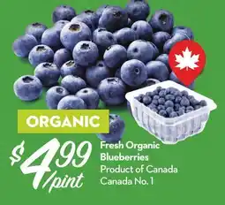 Longo's Fresh Organic Blueberries offer