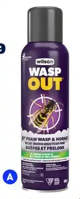 RONA Jet foam wasp & hornet killer 450-g offer