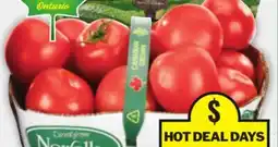 Food Basics SELECTION OR LIFE SMART TOMATO JUICE offer